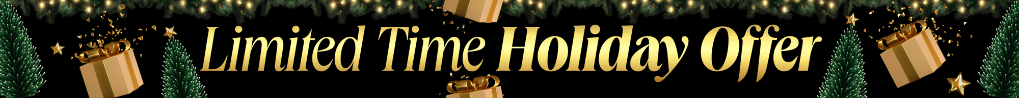 HOL25_Holiday_Web_Banner (1) (1)