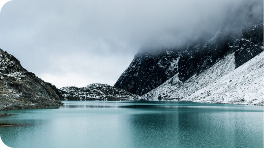 whistler (1)
