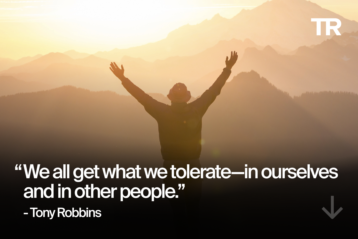 Tonys Quote